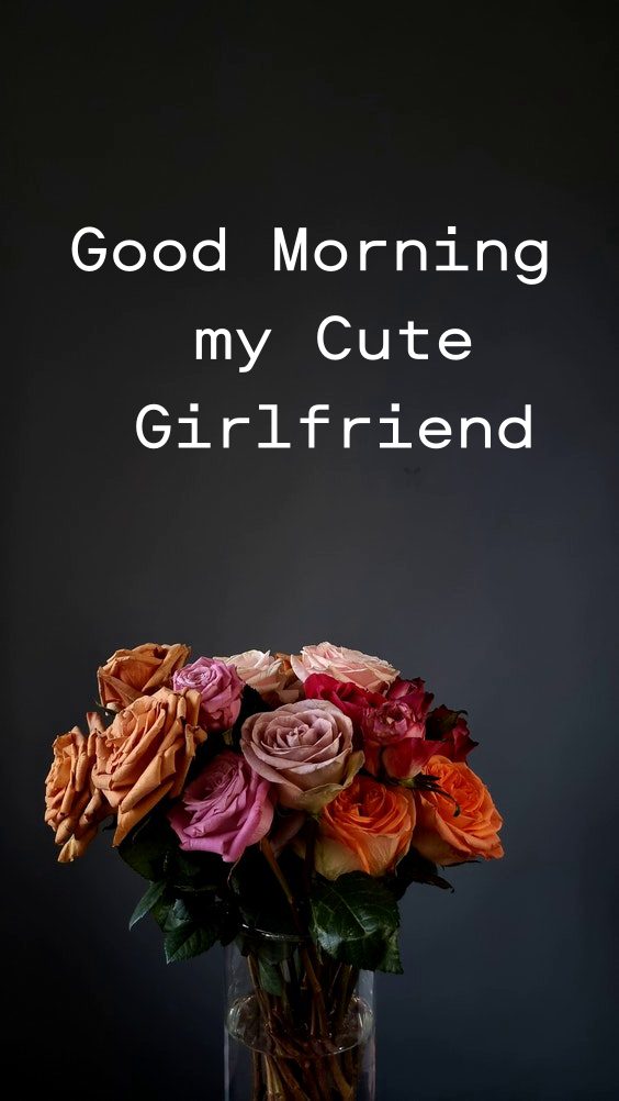 short gm message for gf | how to say good morning to a girl, good morning fiance quotes, good morning my beautiful lady, short good morning messages for girlfriend