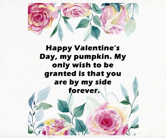 happy valentine wishes for boyfriend with pictures | funny valentines day messages for him, happy valentines day, happy valentines day my love