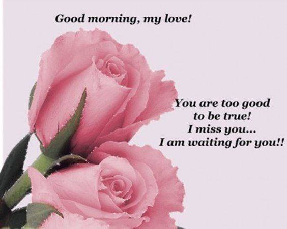 45 Good Morning My Love Quotes images sweet romantic good morning message for her