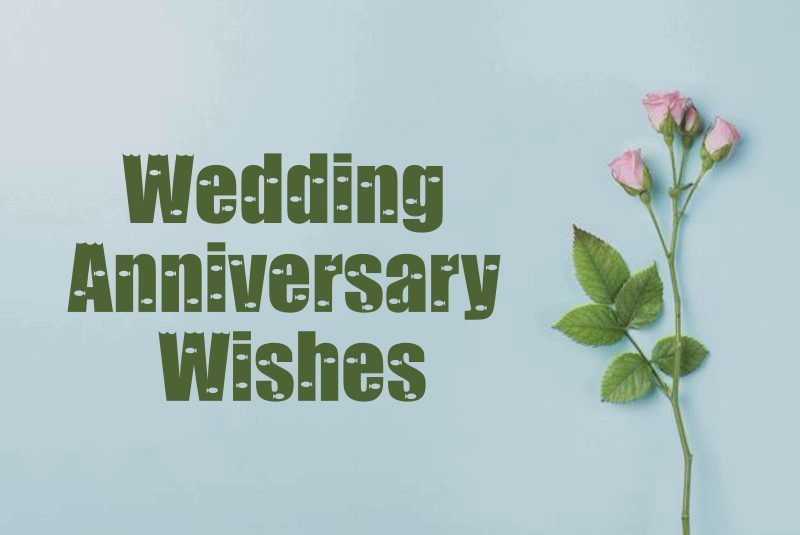 Best Wedding Anniversary Wishes Messages Quotes Greetings