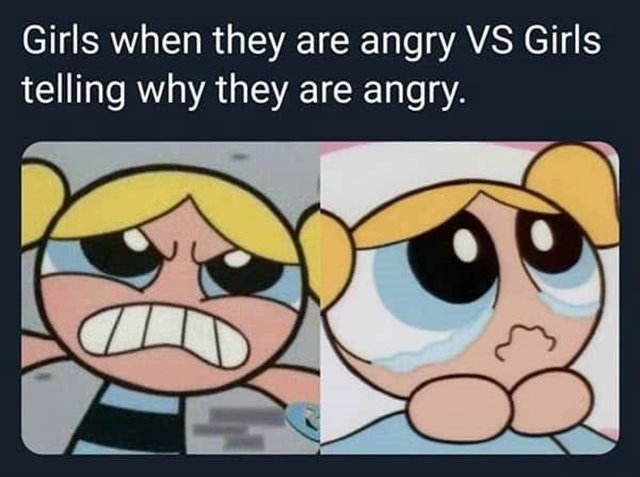 angry girls why memes