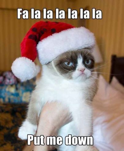 holiday shopping meme Best Merry Christmas Memes Ideas And Funny Christmas Images