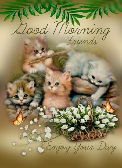 tuesday blessings images and quotes and good morning monday fall images